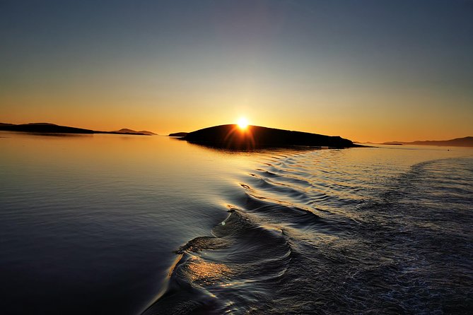 Clew Bay Cruise, Westport ( 90 minutes ) - The seal colony and close wildlife viewing