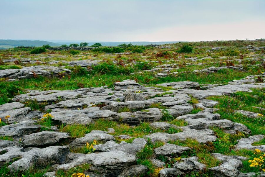 Cliffs of Moher and Blarney 2-Day Tour from Dublin - Guides, pace, and the human side of the trip