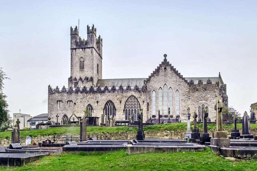 Cliffs of Moher and Blarney 2-Day Tour from Dublin - Day two: the Golden Vale and Limerick