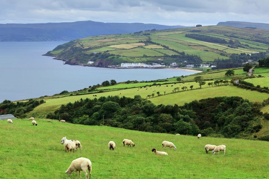 Cliffs of Moher and Blarney 2-Day Tour from Dublin - County Clare and the stony world of the Burren
