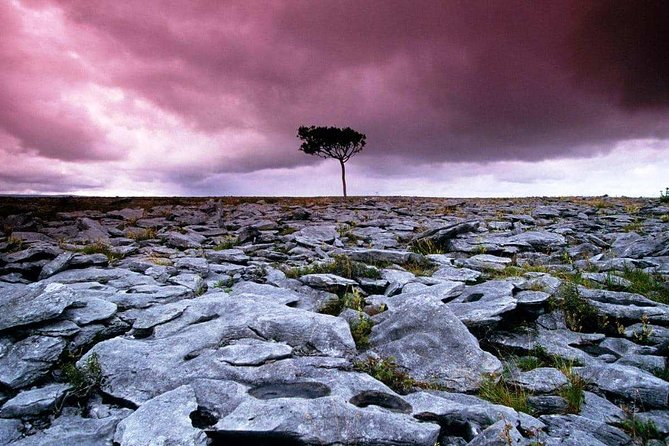Cliffs of Moher, Burren and Wild Atlantic Way day tour from Galway city - Leaving Galway for Dunguaire Castle