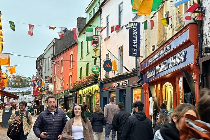 Cliffs of Moher from Dublin Full Day - Private Driver - Key points to know before booking