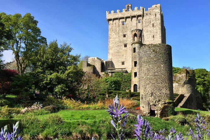 Cobh (Cork) to Blarney Castle & Kinsale - Shore Excursion - Who should book this Cobh shore excursion?