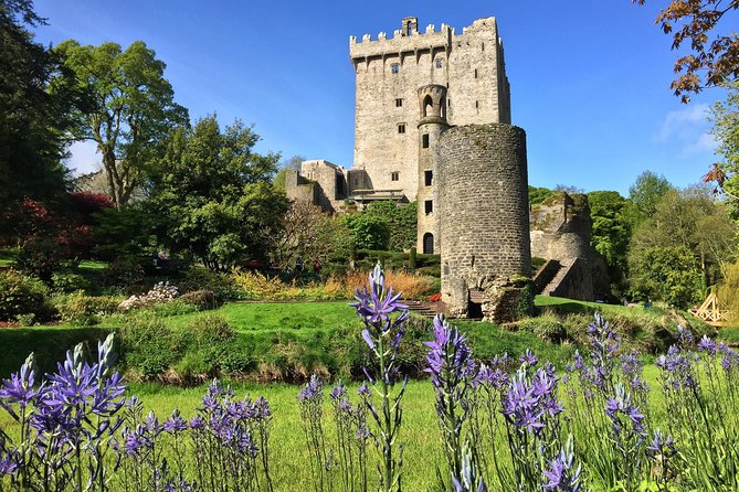 Cobh (Cork) to Blarney Castle & Kinsale - Shore Excursion - My booking verdict