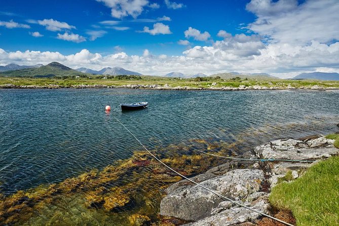 Connemara and Galway City Day Tour from Dublin - Glengowla Mines and the family farm