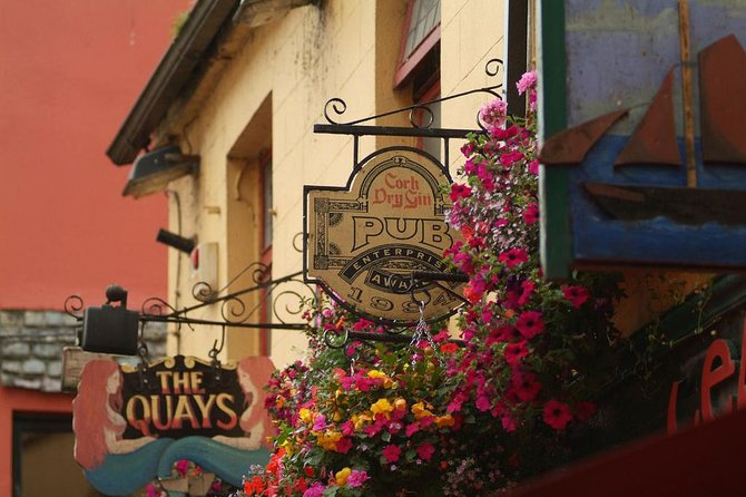 Connemara and Galway City Day Tour from Dublin - The long drive through Connemara
