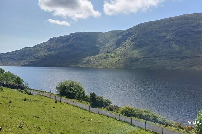 Connemara Sheep Farm experience & Kylemore Abbey by Lux Limousine - Killary Fjord and the road to the Atlantic