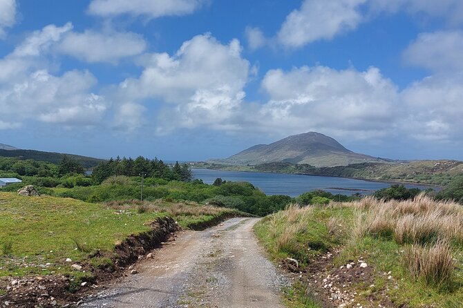 Connemara Sheep Farm experience & Kylemore Abbey by Lux Limousine - How to handle the long day