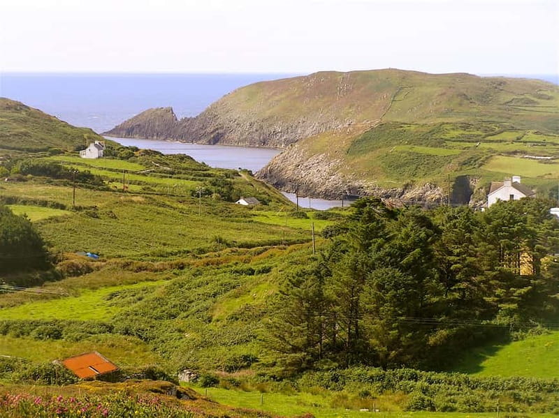 Cork: Fastnet Rock Lighthouse and Cape Clear Island Tour - Cape Clear Island and its old ways