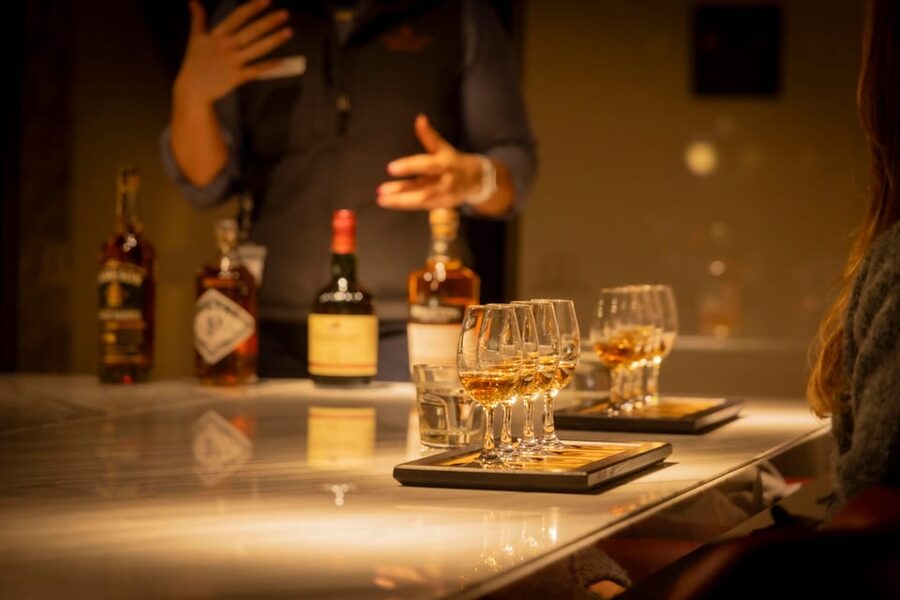 Cork: Midleton Distillery (Jameson) Premium Whiskey Tasting - Checking in at the Midleton Distillery