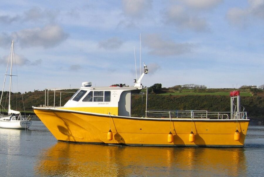 County Cork: Whale & Dolphin Watching Boat Trip - How much value do you get for $51?