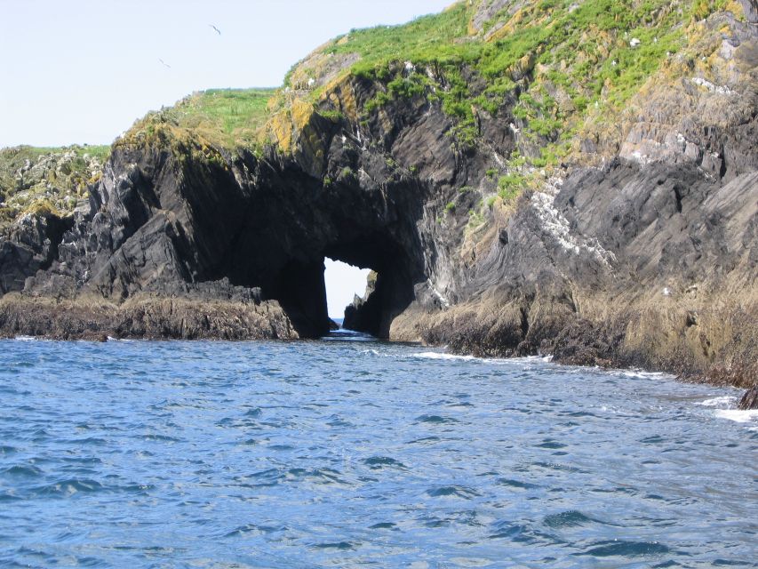 County Cork: Whale & Dolphin Watching Boat Trip - Who will enjoy this boat trip most?