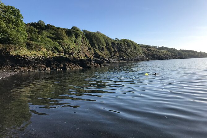 Dawn Pilgrimage and Swim in West Cork - The human side of the morning