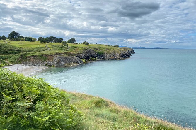 Day Tour from Dublin to Wicklow: Cliffs, Heritage, Wildlife, Gaol - Key points to know before booking