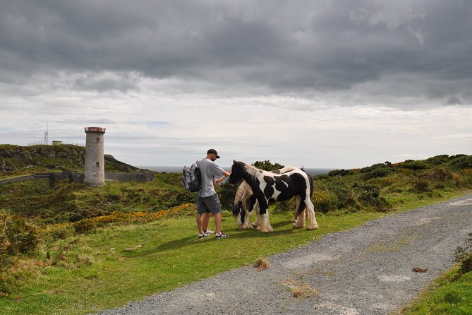 Day Tour from Dublin to Wicklow: Cliffs, Heritage, Wildlife, Gaol - Tea, pastries, and a useful pause