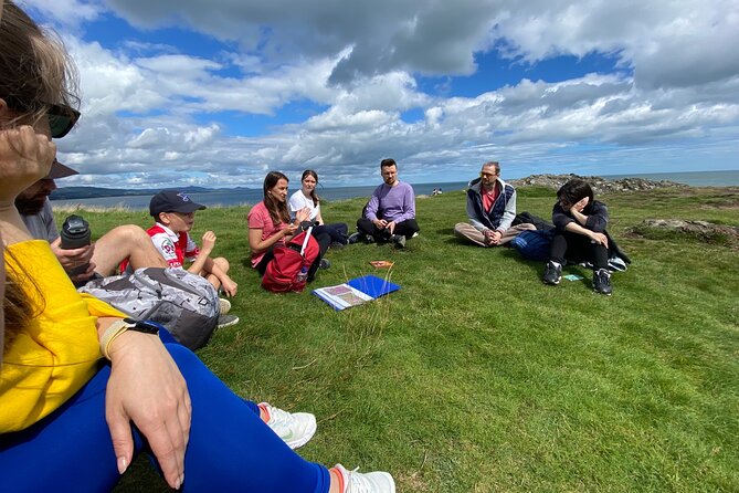 Day Tour from Dublin to Wicklow: Cliffs, Heritage, Wildlife, Gaol - Wicklow Town, Ireland’s coastal county capital