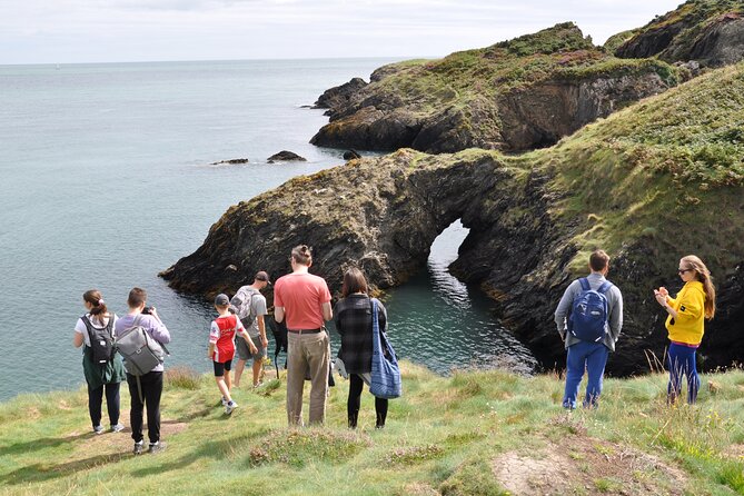 Day Tour from Dublin to Wicklow: Cliffs, Heritage, Wildlife, Gaol - Black Castle and the Norman chapter