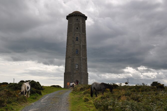 Day Tour from Dublin to Wicklow: Cliffs, Heritage, Wildlife, Gaol - What the private format changes