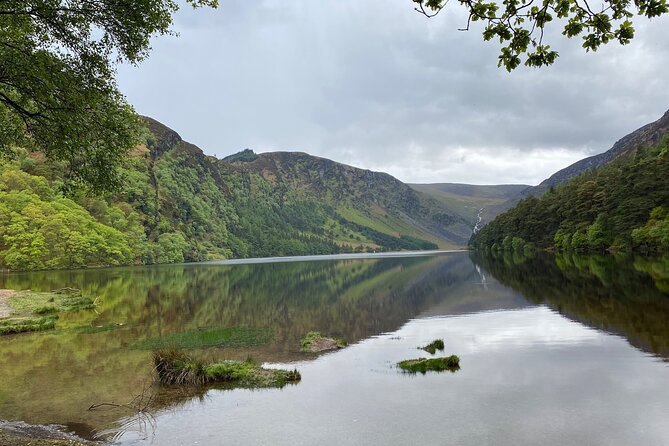 Day Tour from Dublin: Wicklow Mountains, Glendalough, Powerscourt - Powerscourt Waterfall: Ireland’s highest waterfall