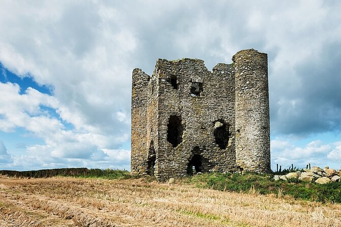DAY TOUR: Highlights of Derry and Donegal - Who will enjoy this private tour most