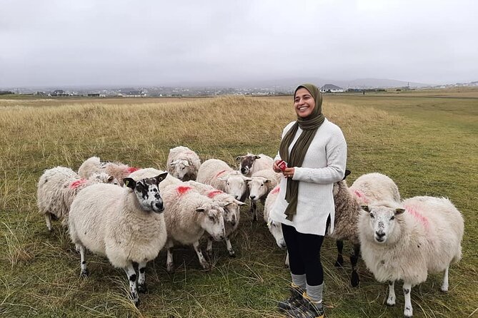 DAY TOUR: Highlights Of South Donegal - Timing, pickup, and small practical details