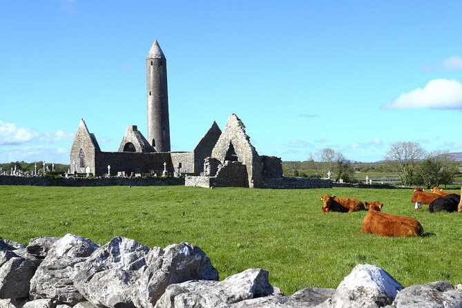Day trip to Cliffs of Moher & Bunratty Castle and Ennis - Ninety minutes at the Cliffs of Moher