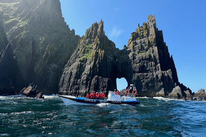 Dingle Boat Tours RIB Adventure Private - Key points at a glance