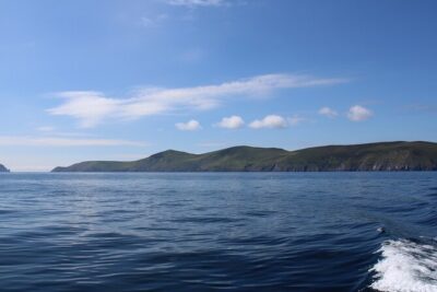Dingle Dolphin Blasket Adventures