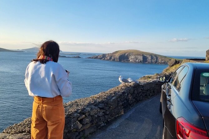 Dingle: Hour Slea Head Drive Tour 4hr - Personal Chauffeur Guide - Why a chauffeur makes Slea Head easier