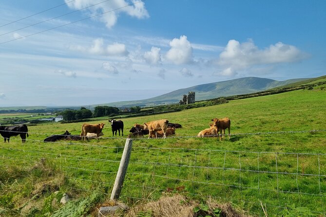 Dingle: Hour Slea Head Drive Tour 4hr - Personal Chauffeur Guide - Fahan’s beehive huts and a possible lamb encounter