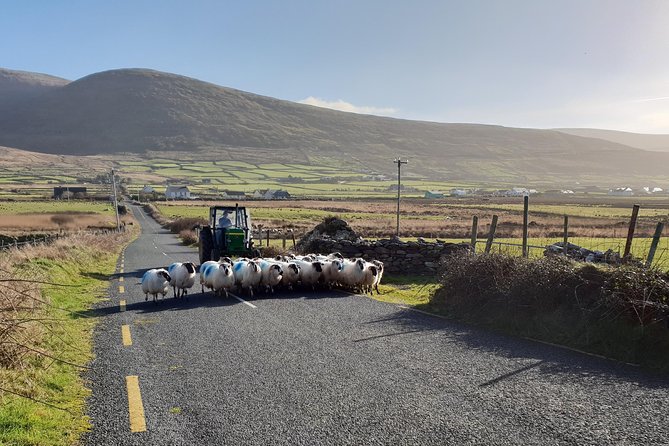 Dingle: Hour Slea Head Drive Tour 4hr - Personal Chauffeur Guide - Coumeenoole Beach and Dun Chaoin Pier