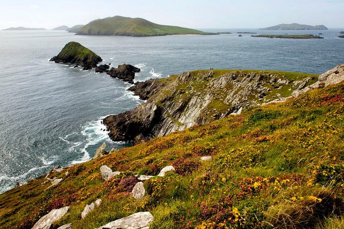Dingle Peninsula Day Tour from Cork: Including The Wild Altanic Way - The return to Cork and possible bus changes