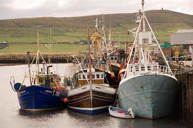 Dingle Peninsula Day Tour from Limerick: The Wild Atlantic Way - Key points to know before you book