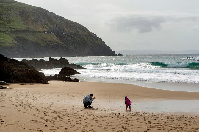 Dingle Peninsula Day Tour from Limerick: The Wild Atlantic Way - The driver-guide can make or break the day