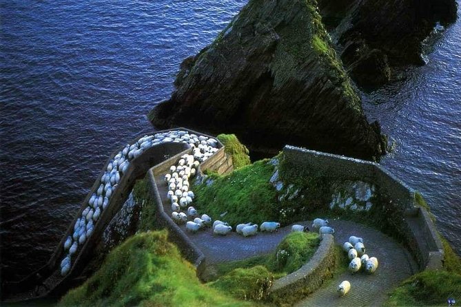 Dingle Peninsula Four Hour Private Tour - Why a private drive makes Slea Head easier