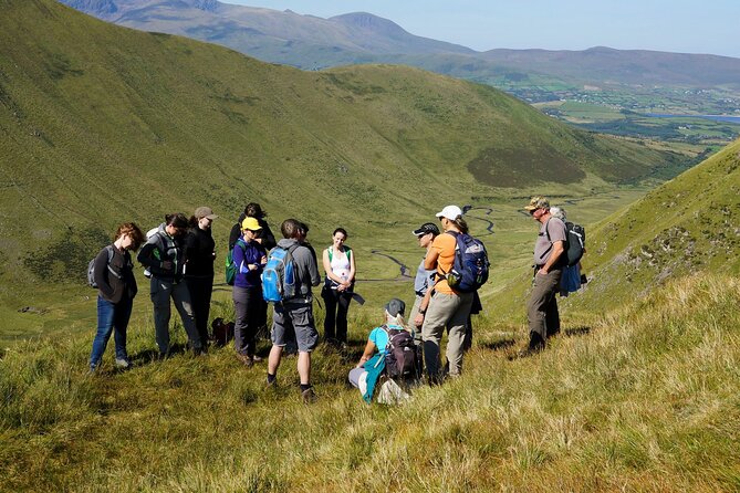 Dingle Peninsula Guided Walking Tour - Planning the rest of your Dingle day