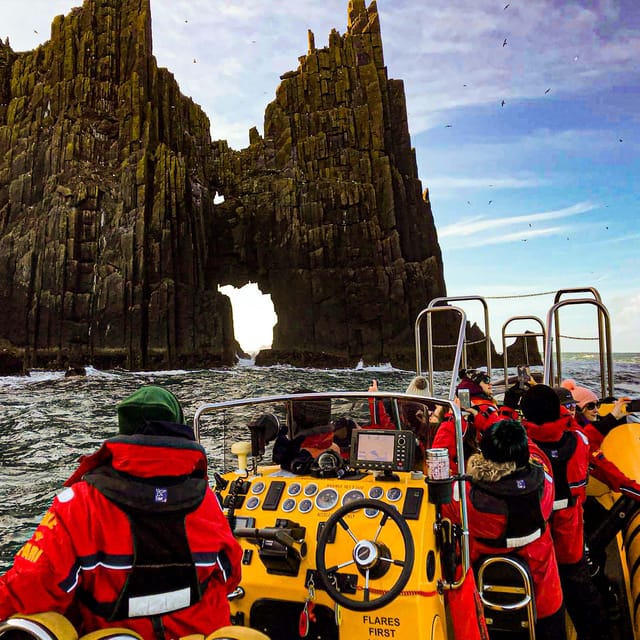 Dingle: Sea Safari by RIB Boat - Watching for seals, dolphins, puffins, and whales