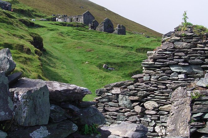 Dingle to Blasket Island Ferry - Wildlife, Coastline, and the Human Story