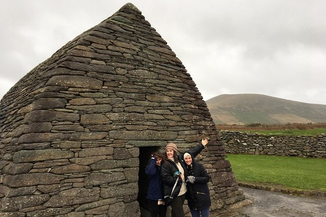 Dingle Town & Peninsula Private Chauffeur Driven Day Tour From Killarney Luxury - Lunch, shopping, and the freedom to slow down