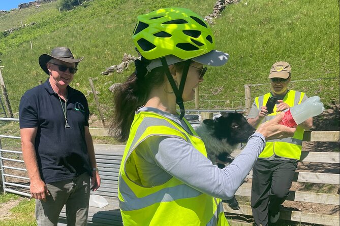Discover Connemara Tour by Electric Fat Tyre Bike - Is $226.76 fair value?