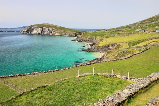 Dolphin & Whale Watching (4hrs) + Blasket Island Landing (3hrs) - Watching for dolphins and whales across Dingle Bay