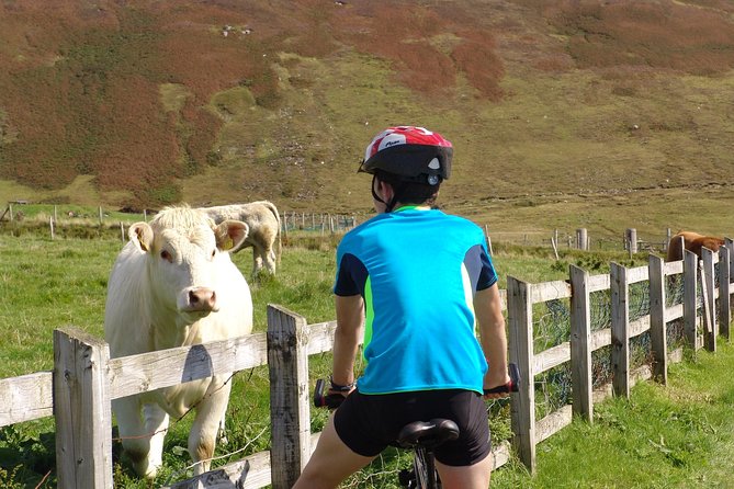 Donegal Coast One Day Self-Guided E-Bike Tour - Why this is a smart way to see Donegal’s coast