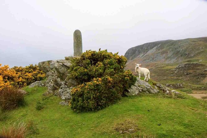 Donegal Coast One Day Self-Guided E-Bike Tour - Clocha na hEireann and the story of Ireland in stone
