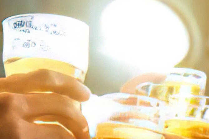 Drinks on Foot: Dublin Traditional Pub Tour - What the $33.19 price really buys you