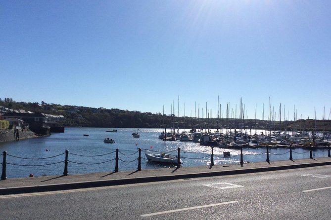 Driver Guide for up to 10 days (per day ) - Is This Private Dublin Driver Tour Right for You?