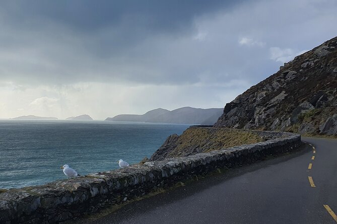 Dublin Airport to Galway ,Private Chauffeur Service - A driver who handles the road while you recover