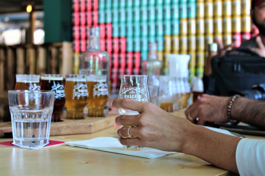Dublin: Authentic Brewery Tour - Who will enjoy this brewery visit?