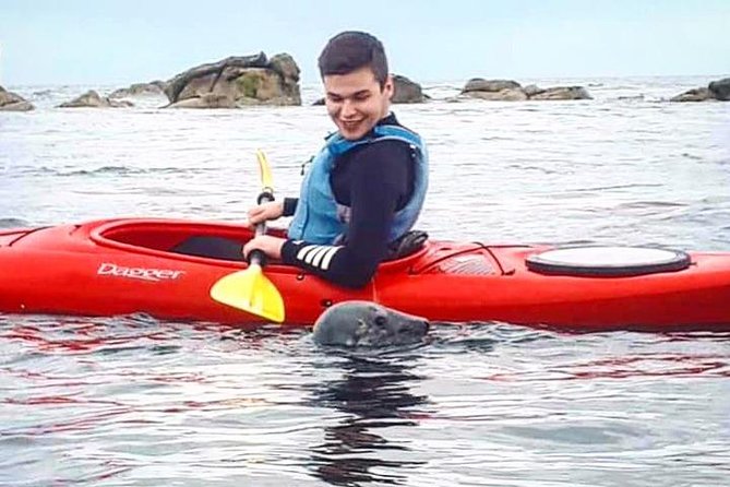 Dublin Bay Seal Kayaking Safari at Dalkey - Starting at Bullock Harbour in Dalkey