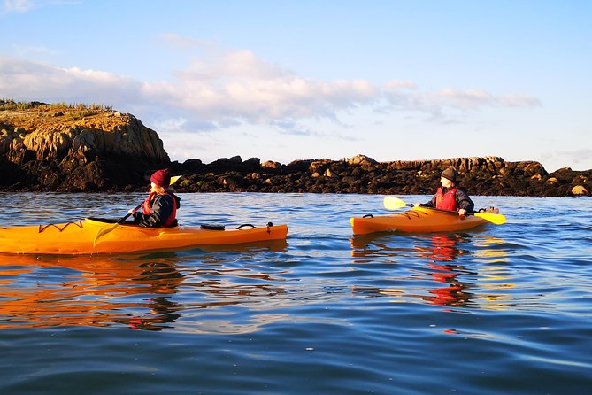 Dublin Bay Seal Kayaking Safari at Dalkey - Is $143.97 a fair price?