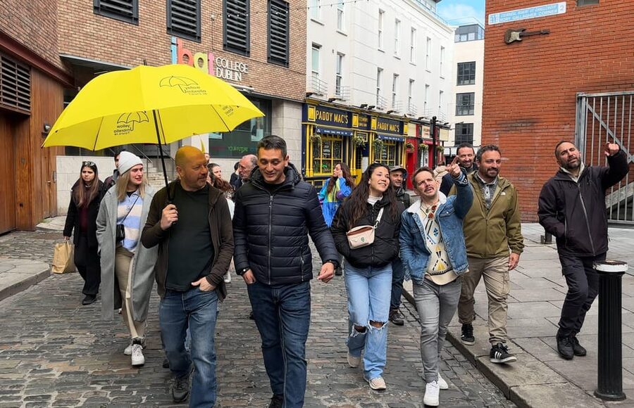 Dublin: Bucket List Sights Walking Tour - Starting at Christchurch Cathedral and Viking Dublin
